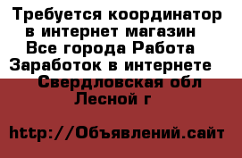 Требуется координатор в интернет-магазин - Все города Работа » Заработок в интернете   . Свердловская обл.,Лесной г.